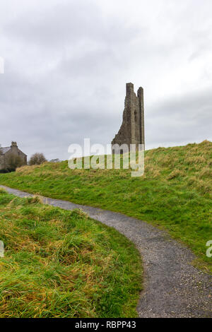 A curved path leads through a field to the ruins of Saint Mary's Abbey in Trim, Ireland Stock Photo