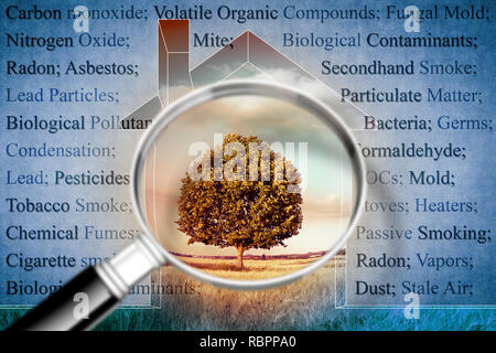 The most common dangerous domestic pollutants we can find in our homes - concept image seen through a magnifying glass Stock Photo