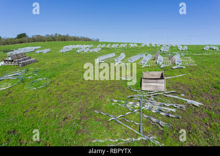 Ceramic insulators spread on a green meadow waiting to replace old ones, California Stock Photo