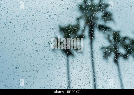 Drops of rain on the window; blurred palm trees in the background; shallow depth of field Stock Photo