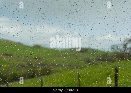 Drops of rain on the window; blurred green meadows in the background; shallow depth of field Stock Photo