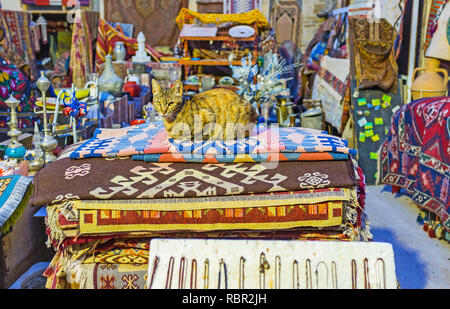 The cat sits on vintage carpets of outdoor antique fair in Kaleici district, Antalya, Turkey. Stock Photo