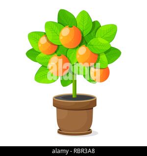Orange Tree Isolated On White Background. Vector Stock Vector