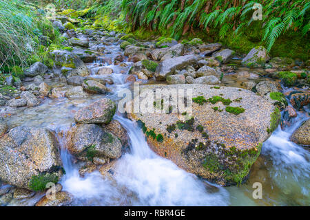 Natural fresh clean water flowing through and around granite bolders through lush green New Zealand bush. Stock Photo