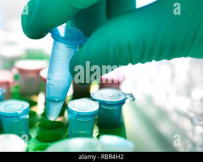 Scientist holding a eppendorf tube containing a biological sample. Stock Photo
