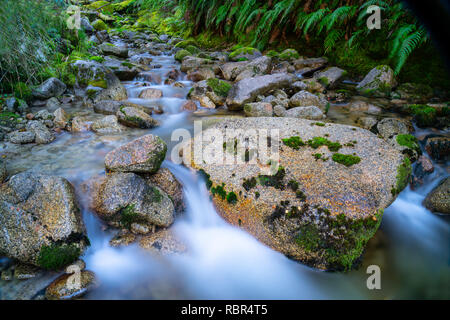 Natural fresh clean water flowing through and around granite bolders through lush green New Zealand bush. Stock Photo