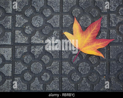 A lonely red and yellow fall leaf on the concrete, Bilbao Stock Photo