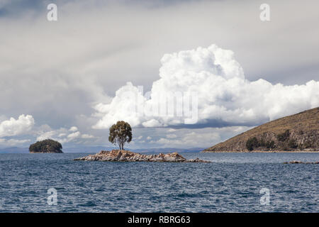 A single gum tree from Australia sits proudly on a tiny island of rock breaching the surface of Lake Titicaca under a cloud mirroring the same shape. Stock Photo