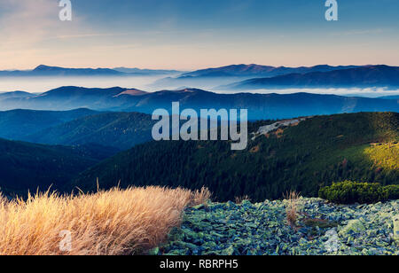 Fantastic sunny day is in mountain landscape. Carpathian, Ukraine, Europe. Beauty world. Stock Photo