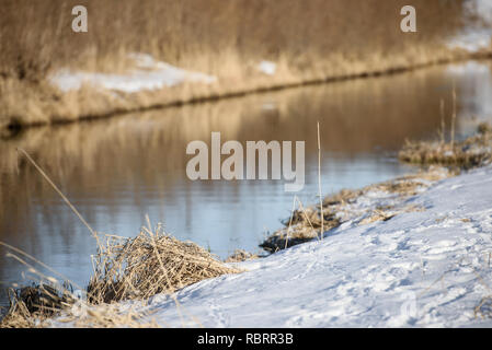 dry grass and snow in spring along the river Bank Stock Photo