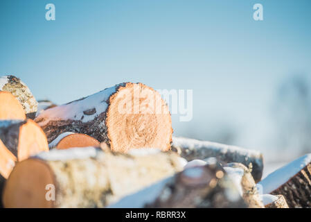 Logs sawn a wood on a background of blue sky. Close up. Stock Photo