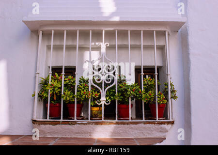 Window. Traditionally decorated Spanish windows with flower pots. Stock Photo