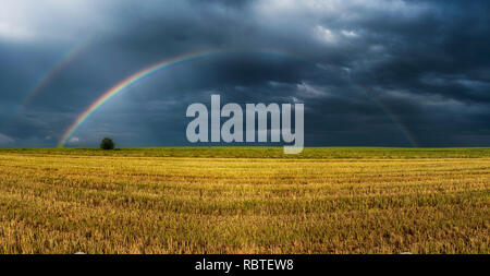 rainbow over the plants Stock Photo