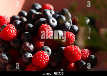 Close up of a large bowl of fresh raspberries and blueberries in a domestic kitchen Stock Photo