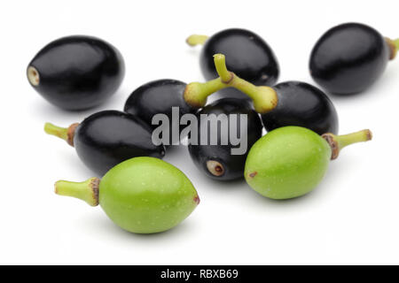Black and green laurel berries isolated on white background Stock Photo