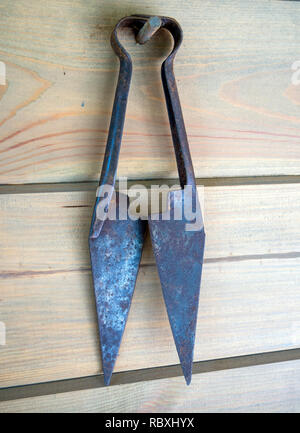 Antique sheep wool shears scissors vintage rusted on retro wood Stock Photo  - Alamy