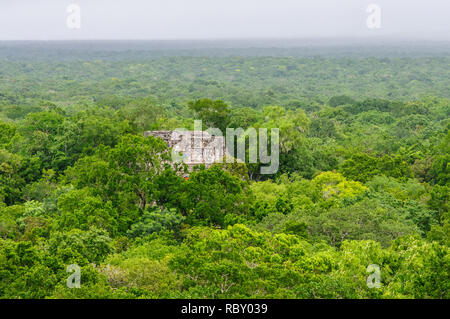 Ancient Mayan pyramid of the lost city Calakmul surrounded by the green jungle of Campeche, Mexico Stock Photo