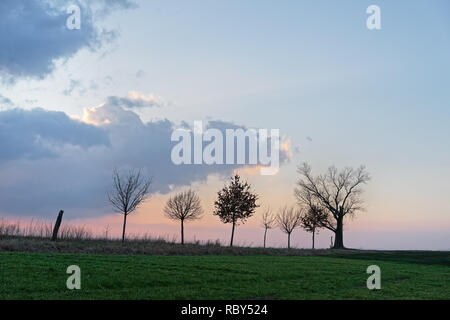Row of tree silhouettes without leaves with different shapes on a dirt road in front of a striking cloud formation in the evening light, sunbeams, del Stock Photo