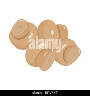 Set of Mushrooms in flat design. Vector illustration. Collection of whole champignons isolated on white background. Stock Vector