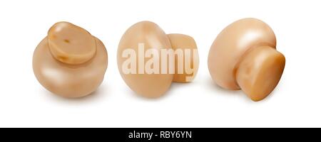 Set of 3d Mushrooms. Vector illustration. Collection of whole champignons isolated on white background. Stock Vector