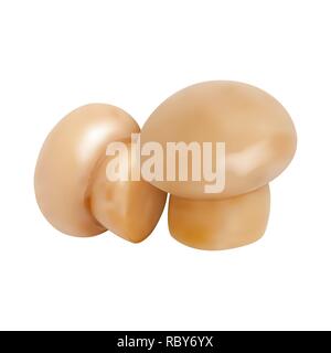 Set of 3d Mushrooms. Vector illustration. Collection of whole champignons isolated on white background. Stock Vector