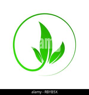 Green leaf nature circle isolated. Vector illustration. Concept of green energy. Nature herbal organic leaf Stock Vector