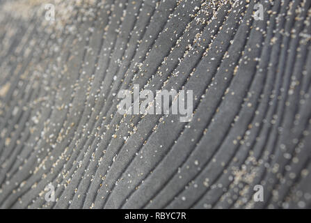 abstract rubber texture with grains of sand Stock Photo