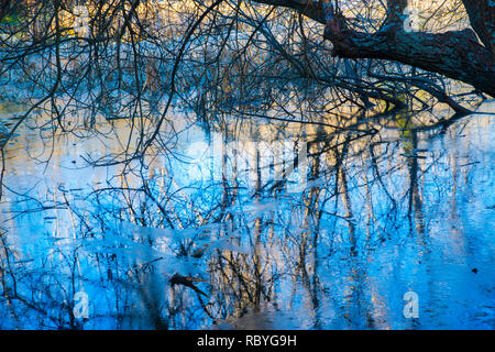 Reflections on frozen water. Finnish Forest, Rascafria, Madrid province, Spain. Stock Photo