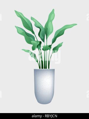 Green flower with big leaves in a pot Stock Vector