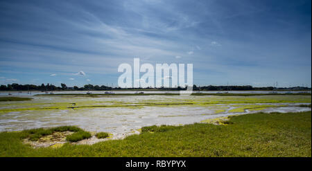 Sailing boats off Cobnor near Chidham, Chichester Harbour, West Sussex, UK Stock Photo