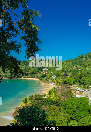 Castara is a small fishing village on the tropical island of Tobago in the Caribbean.  Often called the original Robinson Crusoe island.  Vertical Stock Photo