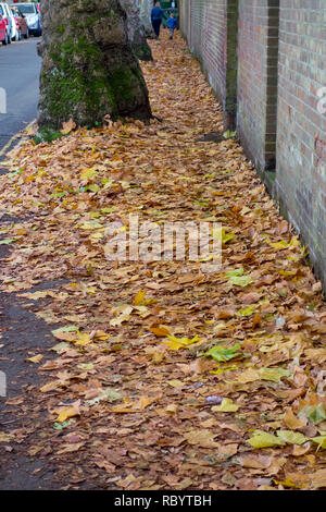 Autumn leaves covering a pavement in Cambridge, UK Stock Photo