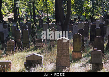 Jüdischer Friedhof, Potsdam, jewish cemetra Stock Photo