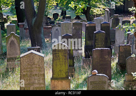 Jüdischer Friedhof, Potsdam, jewish cemetra Stock Photo