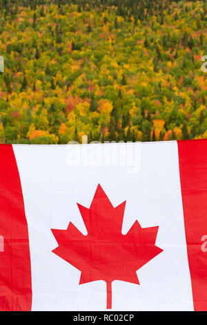 A Canadian flag by foliage of trees during autumn on the Gaspé Peninsual of Quebec, Canada. The trees show traditional Fall colours. Stock Photo