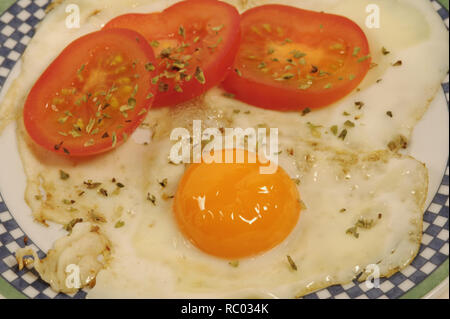 Spiegelei mit frischen Tomaten | Fried egg with fresh tomatoes Stock Photo