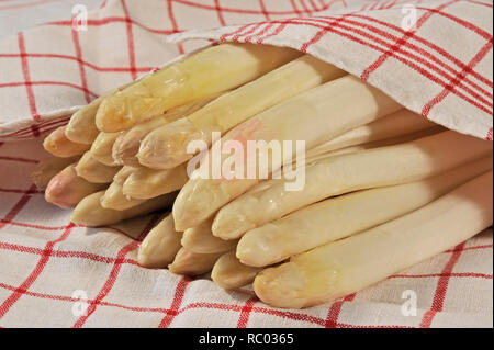 weißer Stangenspargel | white Asparagus Stock Photo
