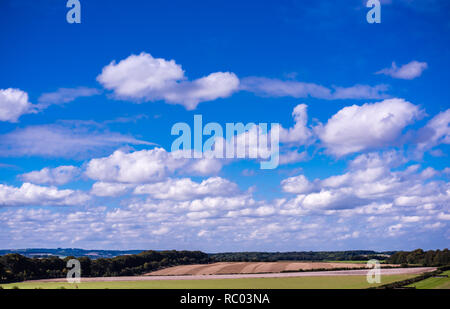 Cumulus clouds crowding the Dorset Sky. Stock Photo