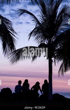 A photograph of four friends enjoying an amazing sunset under a tall palm tree at Jaco Beach, Costa Rica. People are not recognizable. Stock Photo