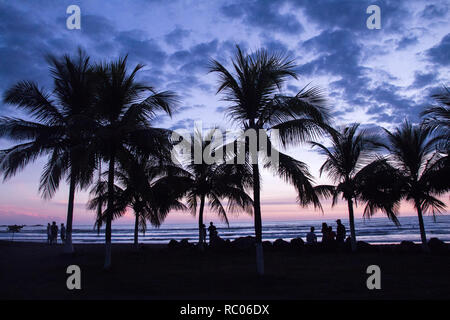 A photograph of an amazing sunset at Jaco Beach, Costa Rica. Silhouettes of beautiful tall palm trees on the foreground. People are not recognizable. Stock Photo