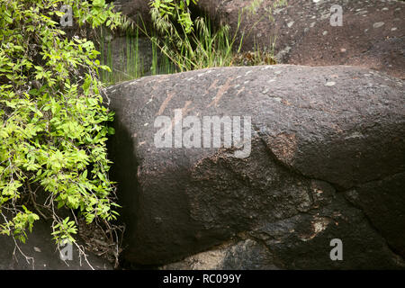 Native American petroglyphs at Buffalo Eddy in the Snake River in Hells Canyon National Recreation Area. Stock Photo