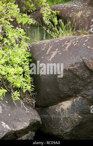 Native American petroglyphs at Buffalo Eddy in the Snake River in Hells Canyon National Recreation Area. Stock Photo