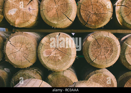 Wooden pattern. Abstract photo of a pile of natural wooden logs background. Stock Photo