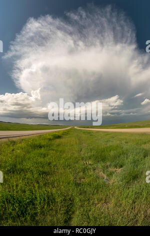 Supercell thunderstorm over the plains of South Dakota. Whilst storm chasing we witnessed this fantastic storm from a highway south of Rapid City. Stock Photo