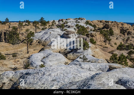 Bleached Zuni Sandstone meandering along the top of Inscription Rock, viewed from the Mesa Top Trail in El Morro National Monument, New Mexico, USA Stock Photo