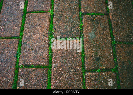 Brick road. Grass and moss grows through the brick road. Stock Photo