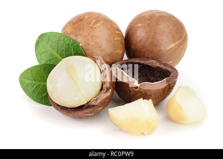 Shelled and unshelled macadamia nuts isolated on white background. Stock Photo