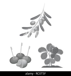 food,honeysuckle,branch,olive,bone,berry,fruit,forest,redberry,fresh,cocktail,medicine,autumn,sweet,health,set,vector,icon,illustration,isolated,collection,design,element,graphic,sign,mono,gray, Vector Vectors , Stock Vector