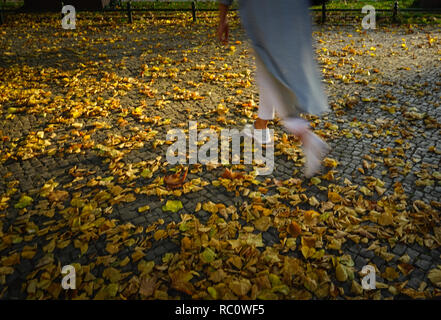 Berlin Savignyplatz Herbst Tiergarten Herbst Stock Photo