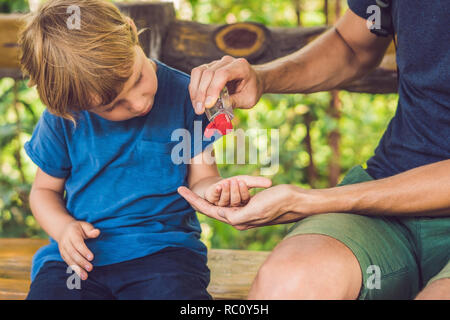 Father and son using wash hand sanitizer gel in the park before a snack. Stock Photo